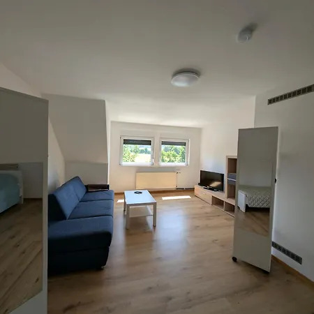 Apartment Wildemannstrasse X *